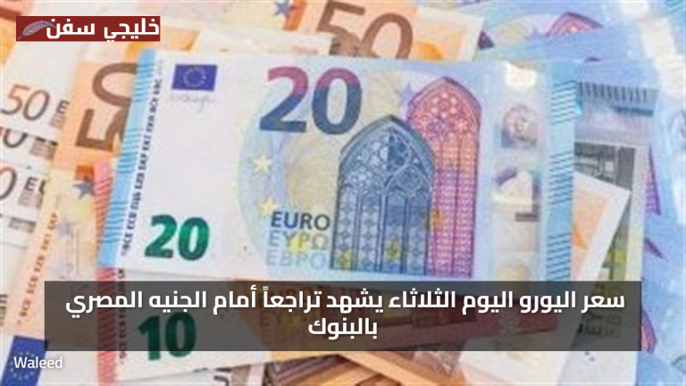 تحديث لحظي.. سعر اليورو اليوم الثلاثاء 29 يوليو 2025 يشهد تراجعاً أمام الجنيه المصري بالبنوك