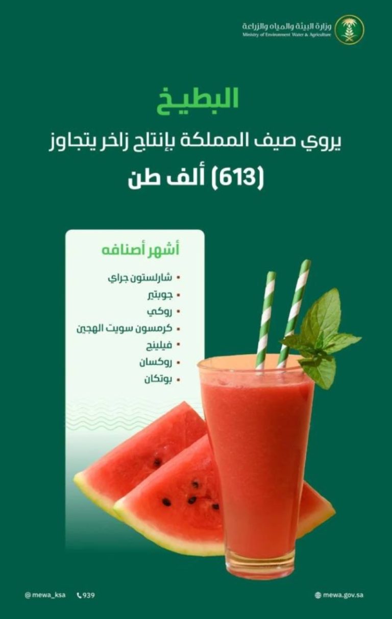 البطيخ ينعش صيف المملكة ويغزو الأسواق بإنتاج يفوق 610 آلاف طن هذا العام