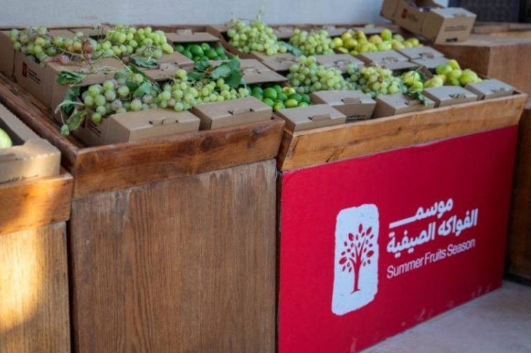 العلا تحتفل بموسم الفواكه الصيفية، محققة 4,900 طن وإيرادات تتجاوز 12.8 مليون ريال.