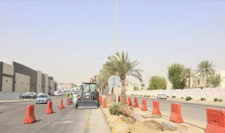 بلدية الخبر تُطلق مشروع استبدال النخيل بـ 10.000 شجرة ظل مرحلياً