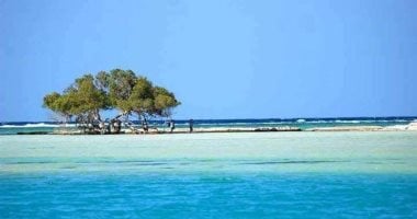 تأمين المحميات الطبيعية في مصر: دراسة حول الفعالية والحماية البيئية