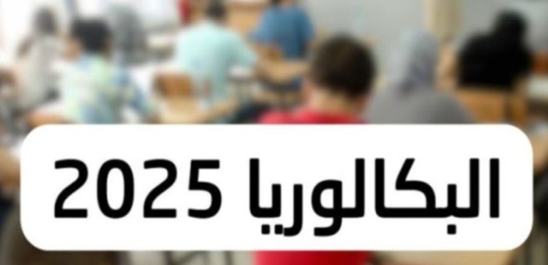 كيفية الاستعلام عن نتائج البكالوريا 2025 في الجزائر بسرعة وفاعلية عبر الديوان الوطني