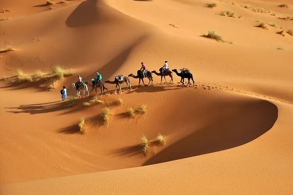 507 رمز اي قبيلة