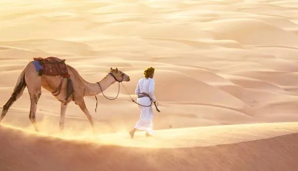 ال مخلص وش يرجع .. اصل عائلة ال مخلص