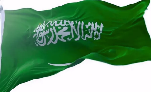 المجنوني وش يرجع ... أصل عائلة المجنوني