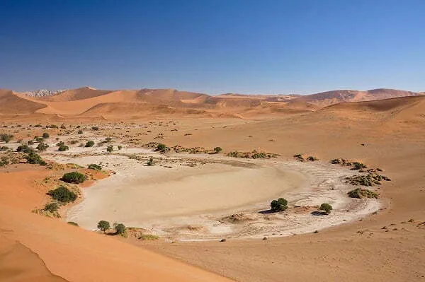 الوهيبي وش يرجع  ... أصل عائلة الوهيبي