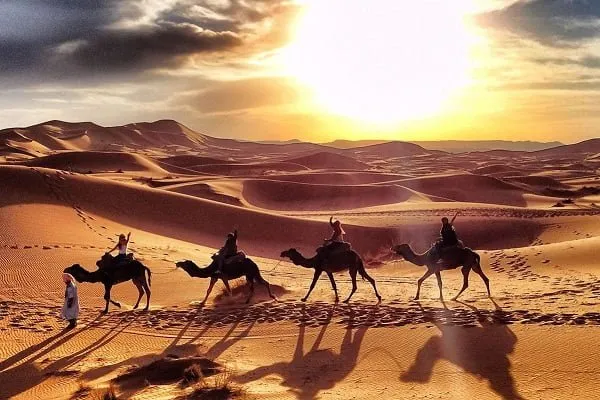 ما هي ثاني أقوى قبيلة في السعودية؟ وعلى أي أساس يتم ترتيب القبائل من الأقوى للأضعف؟