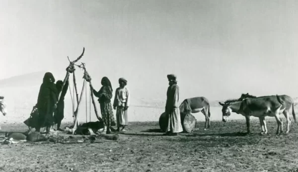 المطرفي وش يرجع