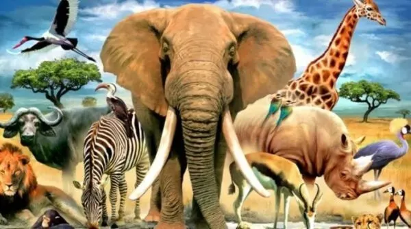 فقرة هل تعلم للاذاعة المدرسية عن الحيوانات لجميع المراحل 2023