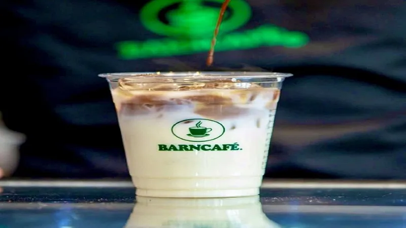 أفضل مشروبات بارنيز الباردة