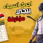 أسماء ببجي مزخرفة فخمة