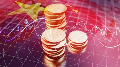 100 شركة صينية تتنافس على الاستثمار في مصر