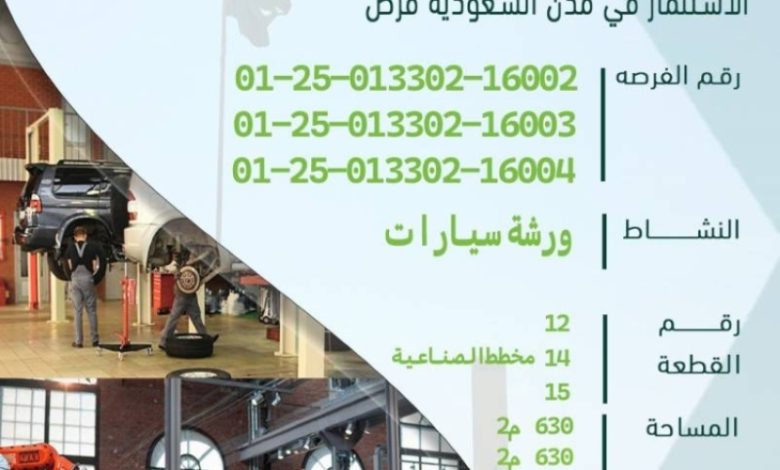 13 فرصة استثمارية متنوعة في محافظة طريف تطمح لتحقيق النجاح والنمو الاقتصادي.
