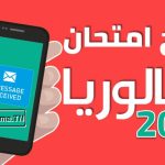 نتائج بكالوريا تونس 2025