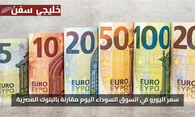 «اعرف الآن» سعر اليورو في السوق السوداء اليوم مقارنة بالبنوك المصرية الرسمية