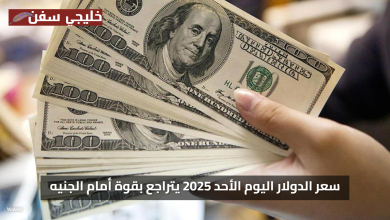 «فرصة ذهبية» سعر الدولار اليوم الأحد 2025 يتراجع بقوة أمام الجنيه المصري الآن