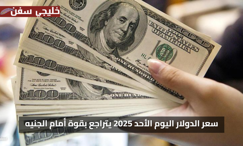 «فرصة ذهبية» سعر الدولار اليوم الأحد 2025 يتراجع بقوة أمام الجنيه المصري الآن
