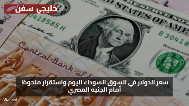 نزول السعر.. سعر الدولار في السوق السوداء اليوم واستقرار ملحوظ أمام الجنيه المصري