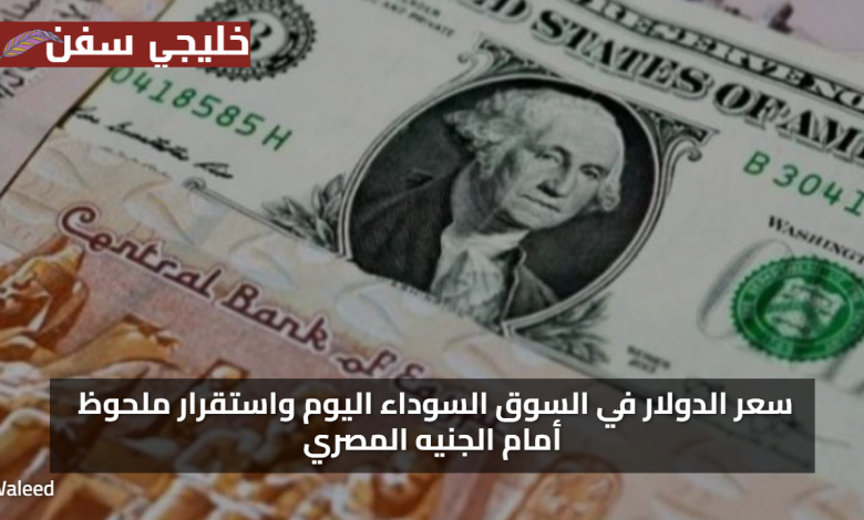 نزول السعر.. سعر الدولار في السوق السوداء اليوم واستقرار ملحوظ أمام الجنيه المصري
