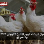 مؤشرات بورصة الدواجن اليوم أسعار الفراخ البيضاء الاثنين 28 يوليو 2025 في مصر والأسواق