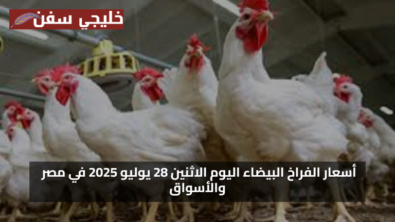 مؤشرات بورصة الدواجن اليوم أسعار الفراخ البيضاء الاثنين 28 يوليو 2025 في مصر والأسواق