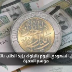 قراءة سوقية.. سعر الريال السعودي اليوم مقابل الجنيه المصري بالبنوك والسوق السوداء يزيد الطلب بالتزامن مع موسم العمرة