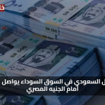 تحديث لحظي سعر الريال السعودي في السوق السوداء يواصل استقراره أمام الجنيه المصري الآن