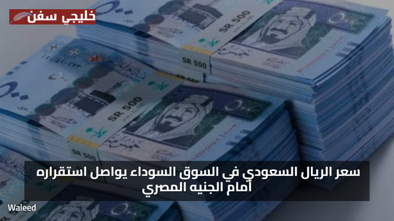 تحديث لحظي سعر الريال السعودي في السوق السوداء يواصل استقراره أمام الجنيه المصري الآن