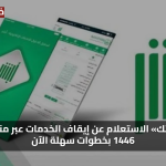 «وفر وقتك» الاستعلام عن إيقاف الخدمات عبر منصة أبشر 1446 بخطوات سهلة الآن