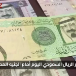 استقرار السعر.. سعر الريال السعودي اليوم أمام الجنيه المصري الثلاثاء 29 يوليو 2025 في جميع البنوك الآن