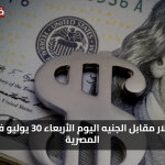 «ثبات مفاجئ» سعر الدولار مقابل الجنيه اليوم الأربعاء 30 يوليو في البنوك المصرية
