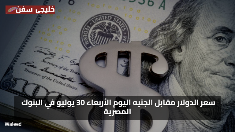 «ثبات مفاجئ» سعر الدولار مقابل الجنيه اليوم الأربعاء 30 يوليو في البنوك المصرية