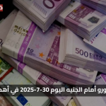 «دقيقة ومباشرة» سعر اليورو أمام الجنيه اليوم 30-7-2025 في أهم البنوك