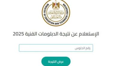 نتيجة الدبلومات الفنية 2025