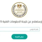نتيجة الدبلومات الفنية 2025