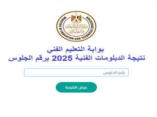 الدبلومات الفنية