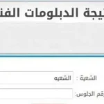الدبلومات الفنية