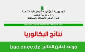 استعلام شامل عن نتائج بكالوريا 2025 الجزائر عبر الديوان الوطني برقم التسجيل وكشف النقاط