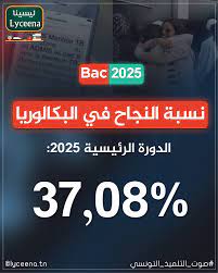 نجاح بكالوريا 2025