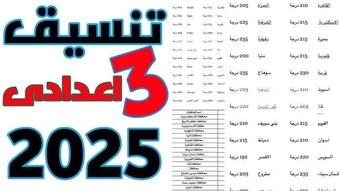 تنسيق الثانوى العام