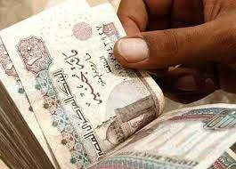 مبادرة معاشات ربات البيوت