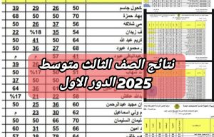 استراتيجيات فعالة لتحقيق نتائج متميزة في الثالث المتوسط 2025 بالعراق بسهولة ويسر