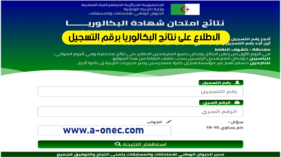 نتائج بكالوريا 2025 في الجزائر