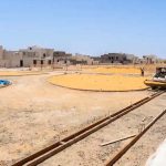 حديقة حي المملكة