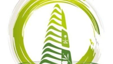 أمانة الجوف تُصدر 7522 رخصة تجارية وإنشائية خلال النصف الأول من عام 2025.