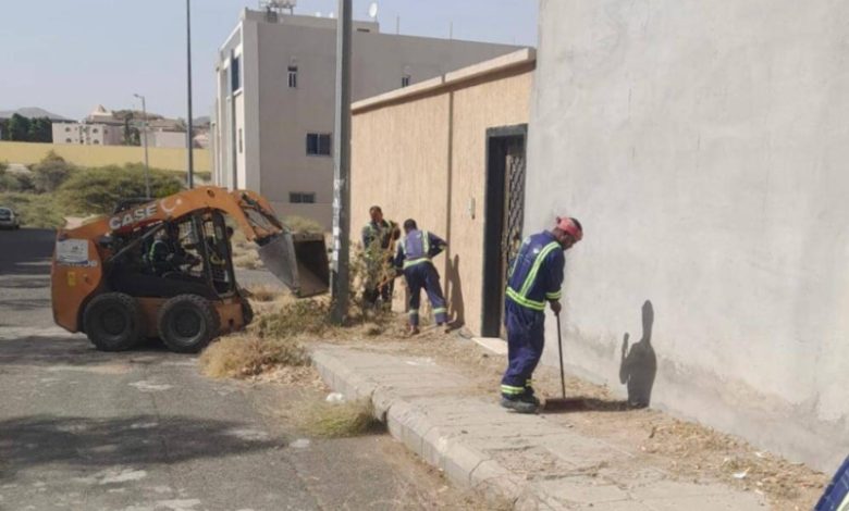 أمانة الطائف تعزز فرق النظافة في المواقع السياحية  
فرق النظافة والصحة تتواجد بكثافة في الطائف  
مزيد من الجهود لفرق النظافة في المواقع السياحية بالطائف  
تعزيز جهود النظافة بالأسواق السياحية في الطائف