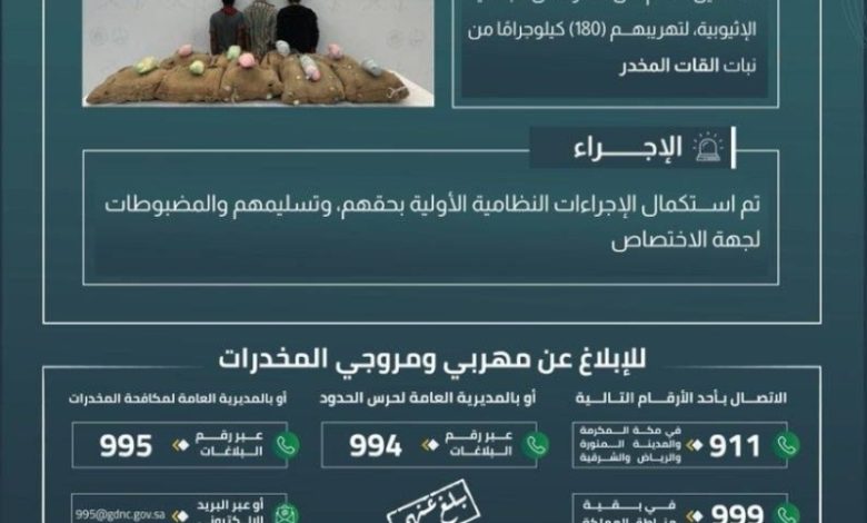 إحباط تهريب كبير: القبض على ثلاثة مخالفين في جازان بحوزتهم 180 كيلوجرامًا من القات المخدر