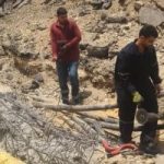 إزالة مسار الكابلات المتهالكة من محطة جزيرة الذهب.. صور