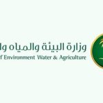 إطلاق برنامج جديد للسقيا المجاني  
تحسين خدمات السقيا المجانية  
مبادرة مبتكرة لتطوير برنامج السقيا المجاني  
توسيع نطاق برنامج السقيا المجاني  
تحديث برنامج السقيا المجاني لخدمة أفضل