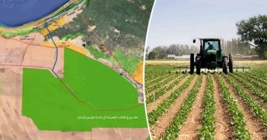 إطلاق تيار كهربائي جديد لتغذية الدلتا الجديدة في أخبار الاقتصاد اليوم